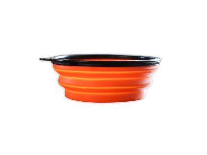 Backfill BL variant 2026-05-21. RegCis: 137024 (variant of 137002). BL product_id: 48323890. Position: 1.