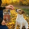 Lifestyle scéna 1 — ruka trenéra dává odměnu psovi (jack russell teriér), outdoor podzimní park, golden hour.