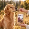 Lifestyle Divoká kachna jerky 176170 – zlatý retrívr, příroda (podzimní louka), ruka podává pamlsek. Vitality pravidla.