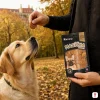 Lifestyle sc.1 var A — trenér dává odměnu psu, podzimní park, golden hour, Akinu MASÍČKA PREMIUM Immunity 75g (176276)