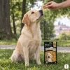 Lifestyle park – Labrador sedí a čeká, jen ruka podává pamlsek, sáček 75 g v reálné velikosti na trávě