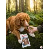 Suprimo Selection Losos kostky (176286) — lifestyle scéna 3, Nova Scotia Duck Tolling Retriever, mechový les