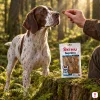 Lifestyle 282040 Immunity 75 g – English Pointer stojí u mechového pařezu, ruka majitele (hnědá voskovaná lovecká bunda) podává pamlsek, sáček na pařezu, odpolední zlaté světlo, evergreen, 1:1.