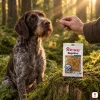 Lifestyle 282041 Mobility 75 g – Německý drátosrstý ohař u mechového pařezu, ruka majitele (hnědá tvídová lovecká bunda) podává pamlsek, sáček na pařezu, odpolední zlaté světlo, evergreen, 1:1.