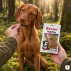 Lifestyle v1 — Akinu SUPRIMO SELECTION Dental pamlsek pro psy 75 g (282042), Vizsla si bere pamlsek z ruky majitele v loveckém outfitu, mechový les, zlaté odpolední světlo, evergreen, 1:1 (schválená Žanet).
