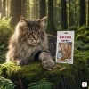 Lifestyle scéna 3 — Maine Coon, mechový les, lovecká elegance — varianta 2/2. POZN.: první generate_image call s count=2 vrátil jen 1 job (ddaeb69e) namísto 2 — tato varianta byla doplněna samostatným navazujícím callem se stejným promptem (job 6fc2c61e). Anomálie nahlášena uživateli, kandidát pro mcp-bug-report.