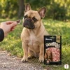 Francouzský buldoček sedí v parku, ruka mu podává jeden kousek, sáček stojí vedle, pozdní odpoledne