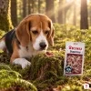 Lifestyle Suprimo: bígl klidně leží na mechu a sleduje pamlsek položený na pařezu, sáček opřený vedle, ranní zlaté světlo.